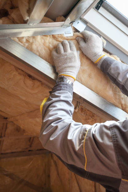 Best Wall Insulation Contractor  in Exander City, AL