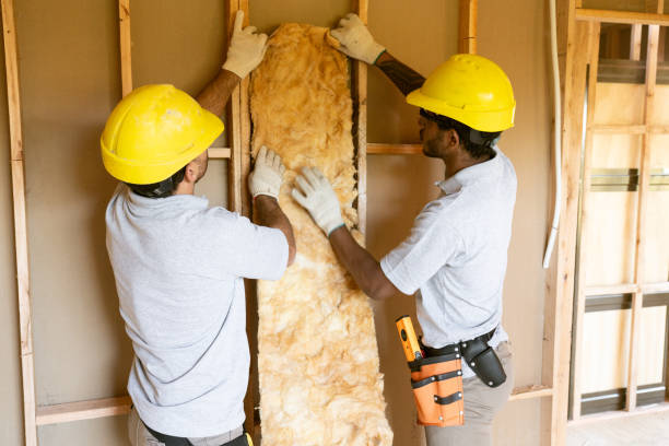 Insulation Contractors for Homes in Alexander City, AL