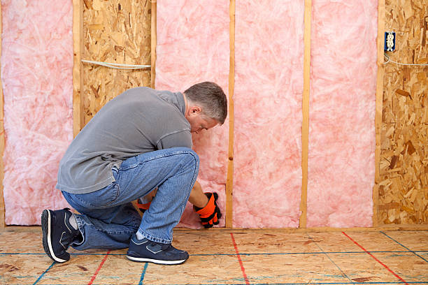 Best Spray Foam Insulation  in Exander City, AL